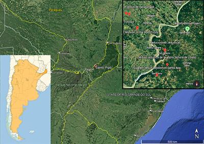 Implementing a sustainable integrated agroforestry system for the cultivation of Ilex paraguariensis